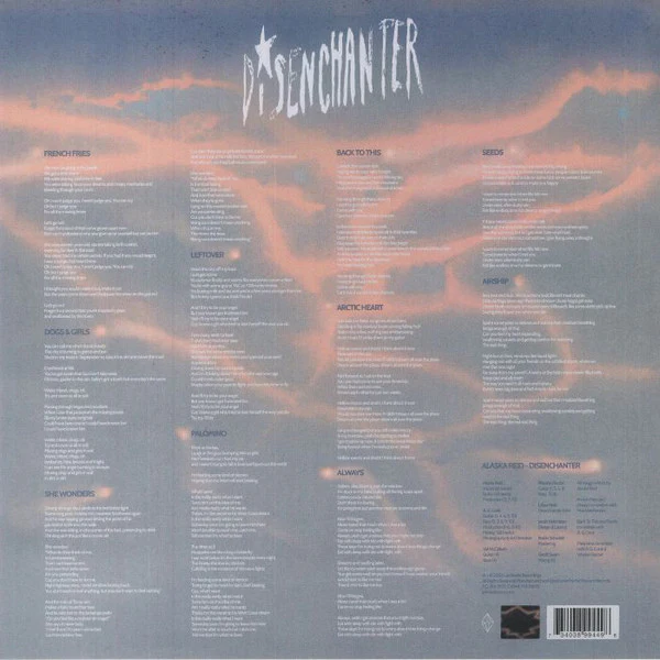 ALASKA REID, Disenchanter (Luminelle Recordings ; LUM034, US 2023) LP VG+/EX - Image 2