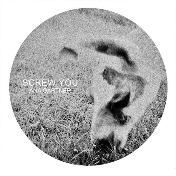 ANA GARTNER, Screw You (Broken Mind Recordings; BMR004, Colombia 2020, Stickers), SALE - Up to 50% Off the Original Price  12" /VG+