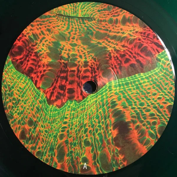 ANIMAL COLLECTIVE, Tangerine Reef (Domino; WIGLP430, USA & Europe 2018, 2 Inners, Single Sided, Etched, Green, 180g) 2xLP VG+/VG - Image 3