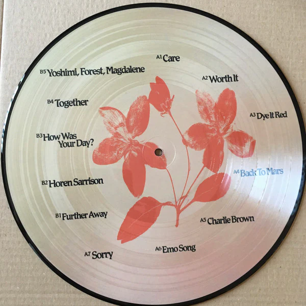BEABADOOBEE, Fake It Flowers (Dirty Hit; DH00918, UK 2020, Clear Plastic Sleeve, Picture Disc), SALE - Up to 50% Off the Original Price  LP VG+/VG+ - Image 2