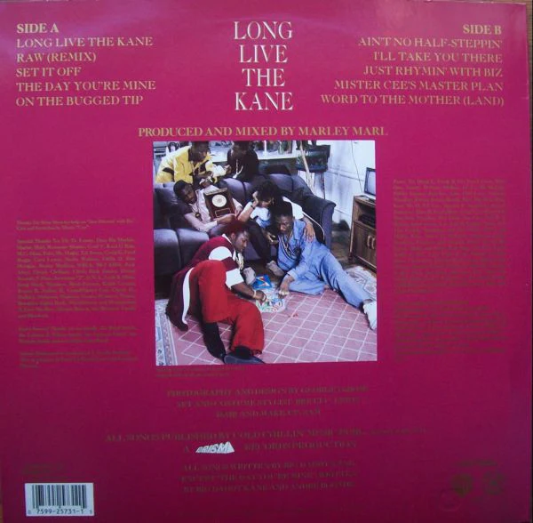 BIG DADDY KANE, Long Live The Kane (Cold Chillin'; 925 731-1, Europe 1988) LP VG/G+ - Image 2
