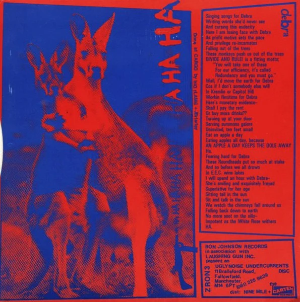 BIG FLAME, Rigour (Ron Johnson Records; ZRON3, UK 1985, Picture Sleeve, Insert) 7" VG/VG - Image 2