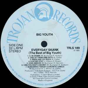 BIG YOUTH, Everyday Skank (Best Of Big Youth) (Trojan Records; TRLS 189, UK 1980) LP EX/EX - Image 3