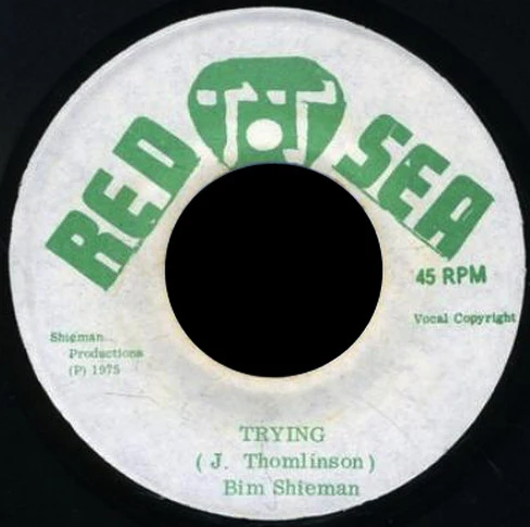 BIM SHERMAN, Trying (Red Sea; , Jamaica 1975) 7" /G+