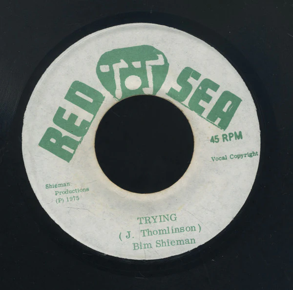BIM SHERMAN, Trying (Red Sea; , Jamaica 1975) 7" /G+ - Image 2