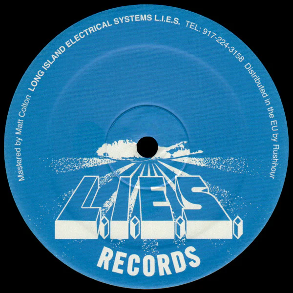 BOOKWORMS, Bookworms (L.I.E.S. Records; LIES-065, US 2015), SALE - Up to 50% Off the Original Price LP /VG+ - Image 2