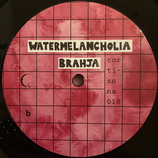 BRAHJA, Watermelancholia (cortizona; cortizona 018, Belgium 2022, Booklet) LP VG+/VG+ - Image 3