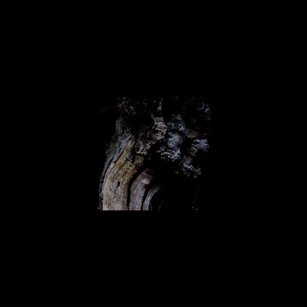 BRUNNEN, The Garden Of Perpetual Dreams (A Colourful Storm ; ACOLOUR012, Australia 2019, Pasted Print On Plain Black Sleeve) LP EX/EX