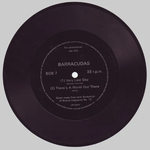 BUCKETFULL OF BRAINS, Bucketfull of Brains #13 magazine (, Worldwide , Bonus Barracudas fexi-disc 7'') Book /VG - Image 2
