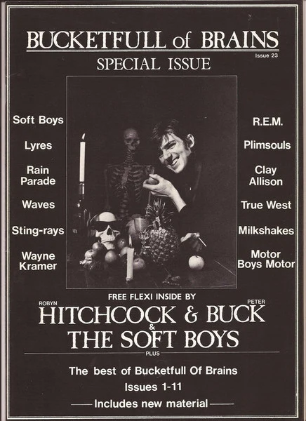 BUCKETFULL OF BRAINS, Bucketfull of Brains #21 magazine (, UK , Robyn Hitchcock And Peter Buck, The Soft Boys Bonus flexi-disc 7'') Book /VG