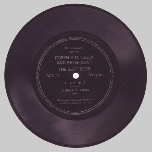 BUCKETFULL OF BRAINS, Bucketfull of Brains #21 magazine (, UK , Robyn Hitchcock And Peter Buck, The Soft Boys Bonus flexi-disc 7'') Book /VG - Image 2