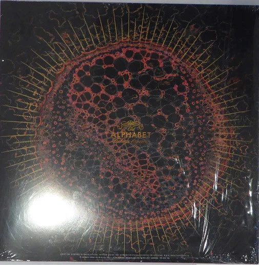 CARDIACS, LSD (The Alphabet Business Concern; ALPHLP033, UK 2025, Slipcase, Deluxe Edition. Black Vinyl) 2xLP NEW/NEW - Image 2