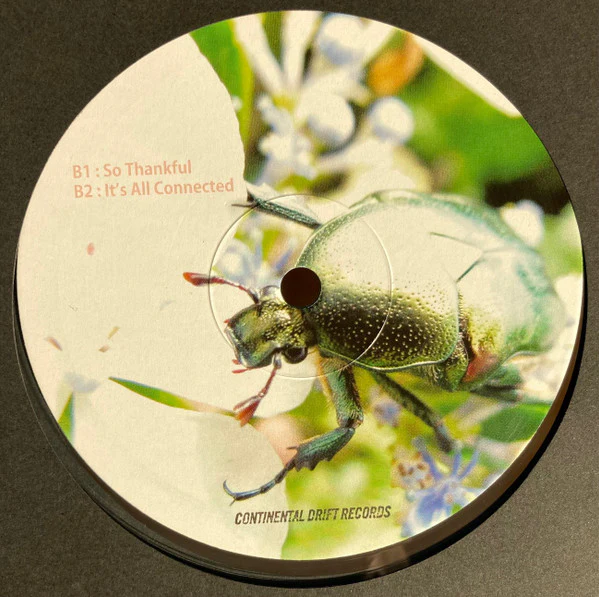 CONOLEY OSPOVAT, So Thankful (Continental Drift Records; cdrift.019, US 2020) 12" /VG+ - Image 2