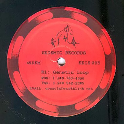 COZMIC SPORE, Vector E.P. (Seismic Records Detroit; SEIS 005, US 1999, Plain Sleeve) 12" /VG - Image 2