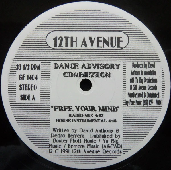 DANCE ADVISORY COMMISSION, Free Your Mind (12th Avenue Records; GF 1404, US 1991) 12" /VG