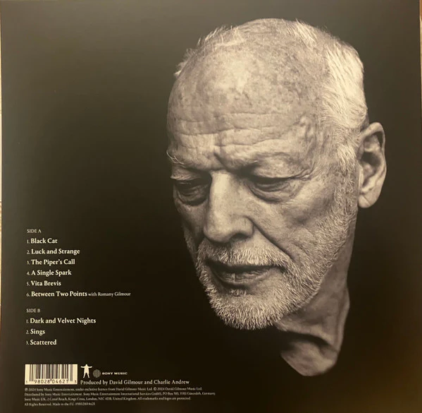 DAVID GILMOUR, Luck And Strange (Sony Music; 19802804621, UK & Europe 2024, Gatefold, Insert, Stereo, White, Alternative Cover) LP EX/EX - Image 2