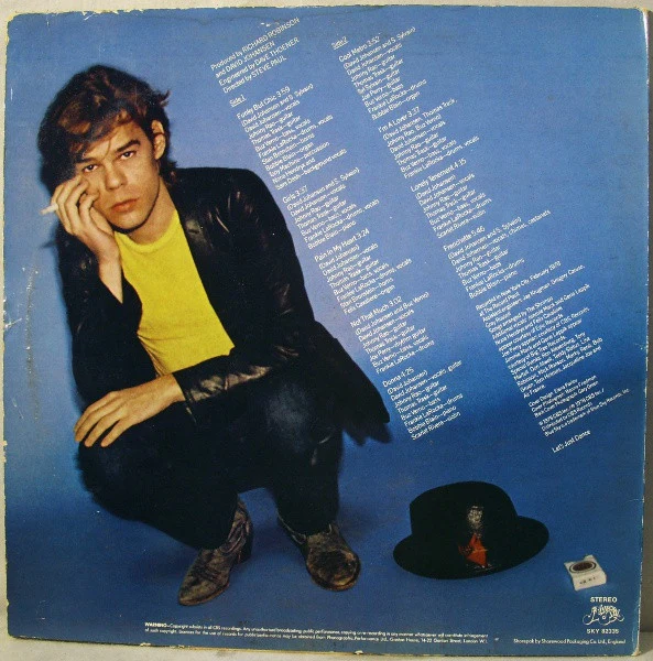 DAVID JOHANSEN, David Johansen (Blue Sky; SKY 82335, UK 1978) LP VG/VG+ - Image 2