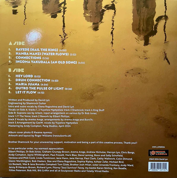 DAVID LYN, The World I Hear ((Essence Of Life) (Music Without Labels; MWL LP00124, UK 2024) LP VG+/VG+ - Image 2