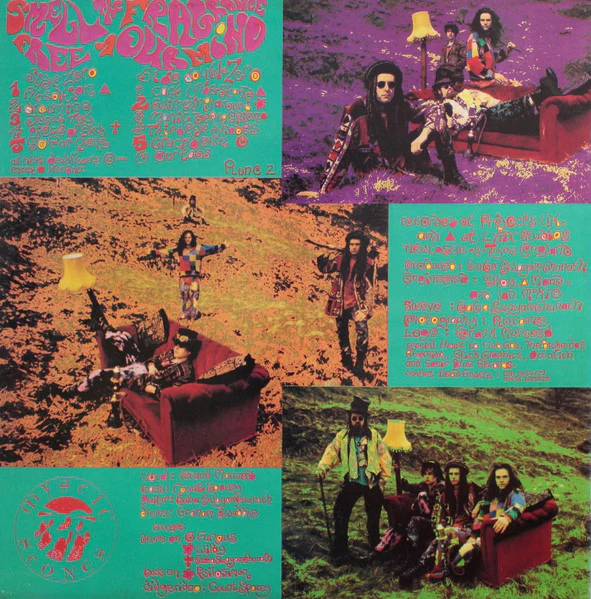 DEAD FLOWERS, Smell The Fragrance (Mystic Stones; LP RUNE 2, UK 1991) LP VG/VG - Image 2
