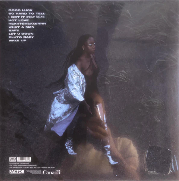 DEBBY FRIDAY, Good Luck (Sub Pop; SP 1533, Europe 2023, Inner, Silver Vinyl), SALE - Up to 50% Off the Original Price LP EX/EX - Image 2