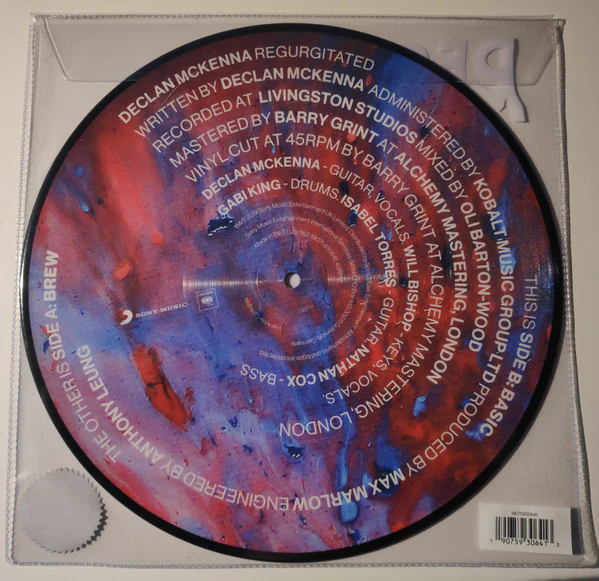 DECLAN MCKENNA, Regurgitated (Columbia; 19075930641, Europe 2019, Printed Plastic Sleeve, RSD 2019, Picture Disc) 10" VG+/VG+ - Image 2