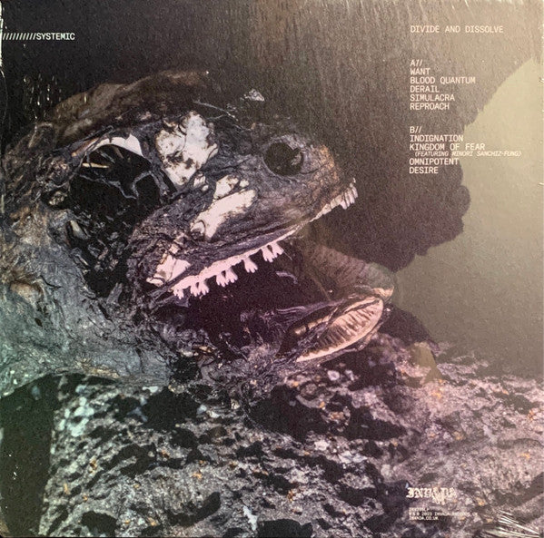 DIVIDE AND DISSOLVE, Systemic (Invada Records; INV299LP, UK 2023, Textured Sleeve, Insert, Transparent Blue Vinyl) LP EX/EX - Image 2