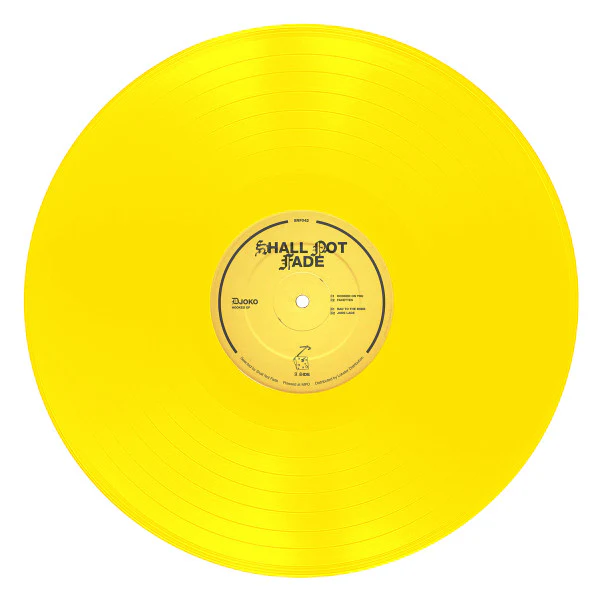 DJOKO, Hooked EP (Shall Not Fade; SNF042, UK 2020) 12" EP /VG