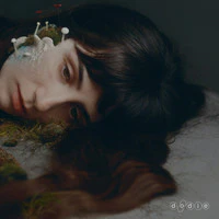 DODIE, Not For Lack Of Trying (doddleoddle; 602478858086, UK 2025, Gatefold, Inner & Insert, Smokey Black Vinyl) LP EX/EX