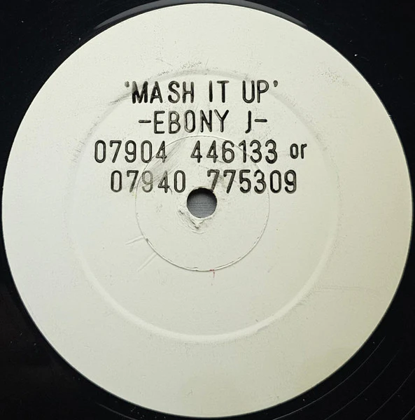 EBONY J, Mash It Up (TMT Music; TMT 2002, UK 2002, Stamped White Label) 12" /G+