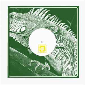 FEEL FREE HI FI, EQUIKNOXX, Equiknoxx Meets Feel Free Hi Fi (Digital Sting; DS002, US 2021, Stamped White Label, Stickered Die Cut Picture Sleeve) 12" VG/VG - Image 2
