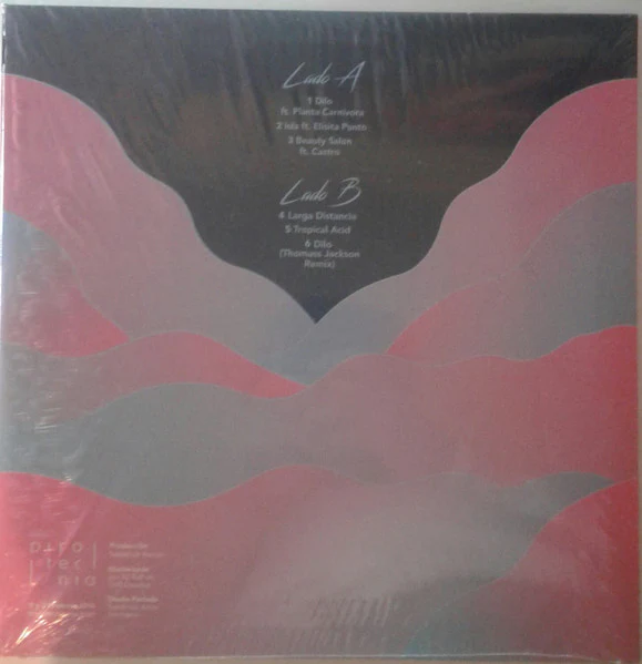 FERNANDA ARRAU, A Larga Distancia (Pirotecnia; P018, Chile 2016, Picture Sleeve) 12" EX/EX - Image 2