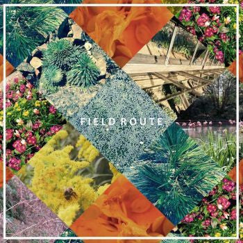FIELD ROUTE, Field Route (Box Bedroom Rebels; BBR#25, UK 2016, Picture Sleeve, Inserts, Poster, Limited Edition of 200), SALE - Up to 50% Off the Original Price  7" VG/VG