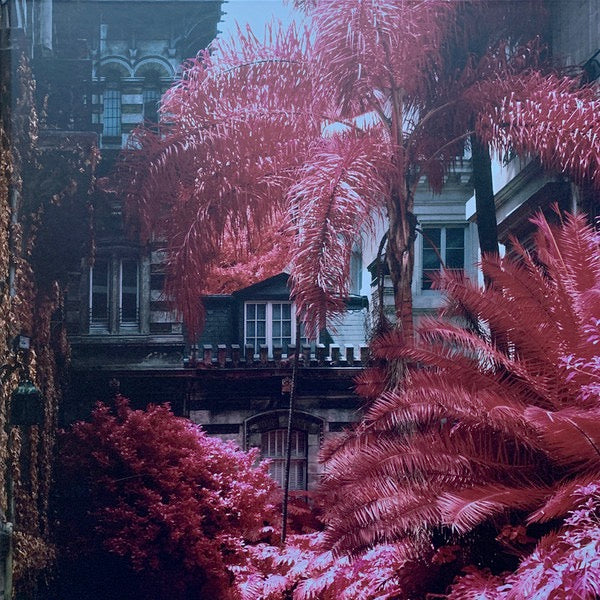 FOALS, Everything Not Saved Will Be Lost (Warner Bros. Records ; 0190295500900, Europe 2019, Book Sleeve, Two Prints. One Signed, With Etched 7", Violet Vinyl, Includes Part 2 On Orange Viny LP EX/VG+