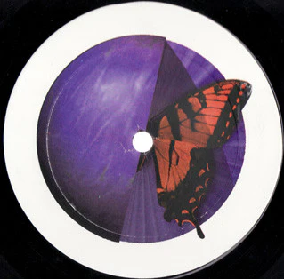FURRY PHREAKS FEATURING TERRA DEVA, Want Me (Like Water) (Love From San Francisco; L.F.S.F.004, US 1995, Plain Sleeve) 12" /VG - Image 2
