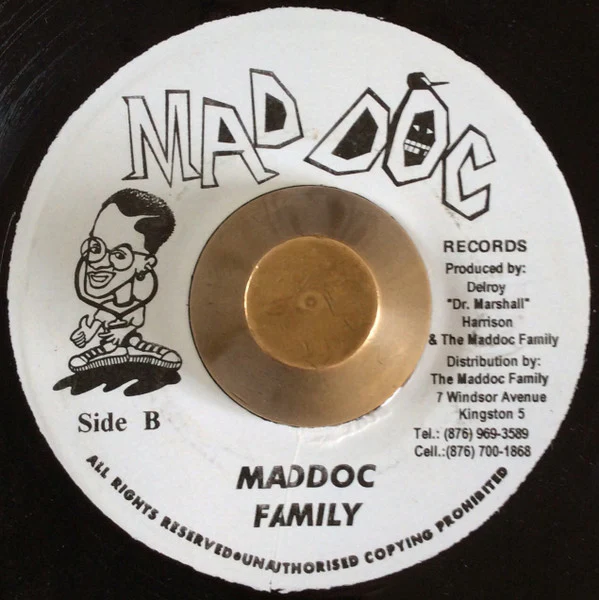 GARNET SILK, Hard Nut To Crack (Mad Doc Records; none, Jamaica ) 7" /VG - Image 2