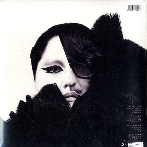 GOSSIP, Music For Men (Columbia; 88697529221, Europe 2009, 2 Inners) 2xLP EX/VG+ - Image 2