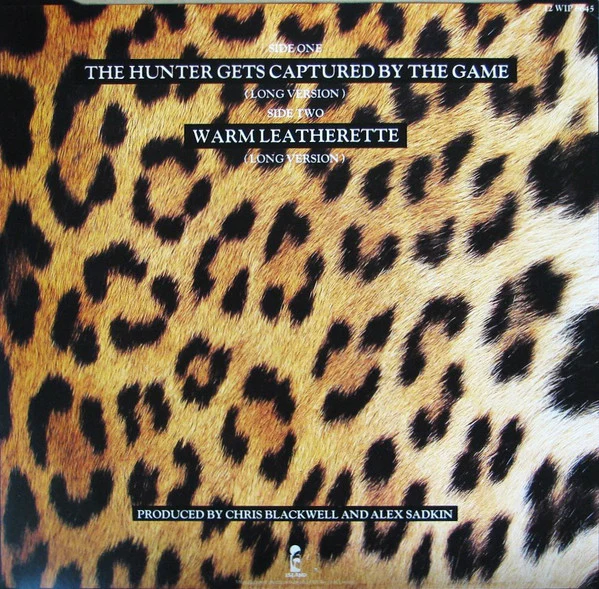 GRACE JONES, The Hunter Gets Captured By The Game (Island Records; 12WIP 6645, UK 1980) LP VG/VG - Image 2