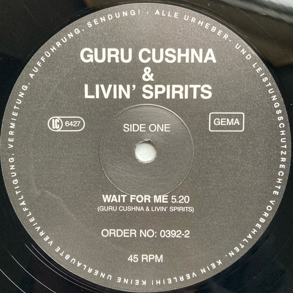 GURU CUSHNA & LIVIN' SPIRITS, Wait For Me (Not On Label; 0392-2, Germany 1980s, Picture Sleeve) 12" VG+/VG+ - Image 3
