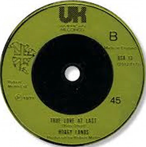 HOAGY LANDS, Friends And Lovers Don't Go Together / True Love At Last (UK American Records; USA 13, UK 1976) 7" /VG+ - Image 2