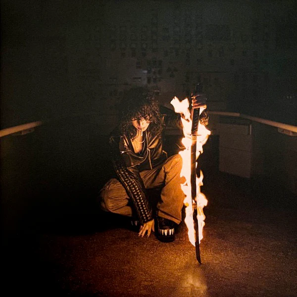 JANE REMOVER, Revengeseekerz (deadAir; DAO14JR, Europe 2025 Reissue, Gatefold, Orange Vinyl) 2xLP NEW/NEW