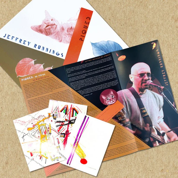 JEFFREY RUNNINGS, Piqued (Independent Project Records; IP092, US 2025, Inside Loading Gatefold Sleeve, Booklet, Art Cards, With 12" & OBI. For Against) LP VG+/VG+ - Image 3