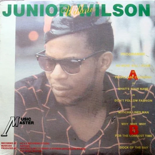JUNIOR WILSON, Willow (Witty; MMLP0018, US 1980s) LP VG+/VG+ - Image 2