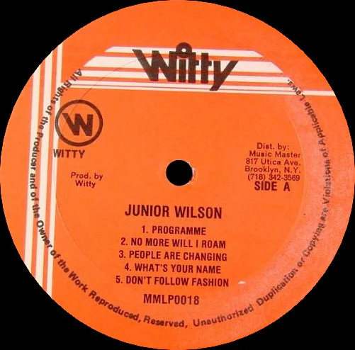JUNIOR WILSON, Willow (Witty; MMLP0018, US 1980s) LP VG+/VG+ - Image 3