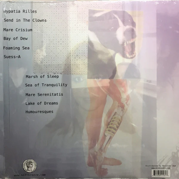 LETHA RODMAN MELCHIOR, Handbook For Mortals (Siltbreeze ; SB158, US 2013, Insert) LP EX/EX - Image 2