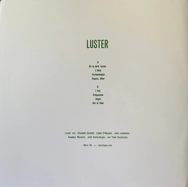 LUSTER, Luster (Morc Records; Morc 85, Belgium 2022, Fold Over Sleeve, Printed lyric sheet, catalogue insert) LP VG+/VG+ - Image 2