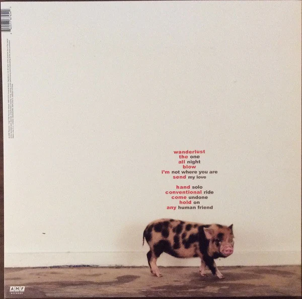 MARIKA HACKMAN, Any Human Friend (AMF Records; AMFLP0013, Europe 2019, Insert, Pink Marbled Vinyl) LP EX/EX - Image 2