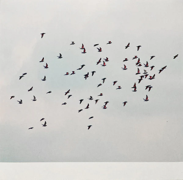 MARJA AHTI & JUDITH HAMANN, A Coincidence Is Perfect, Intimate Attunement (Second Editions; 011, Germany 2022) LP EX/EX - Image 2