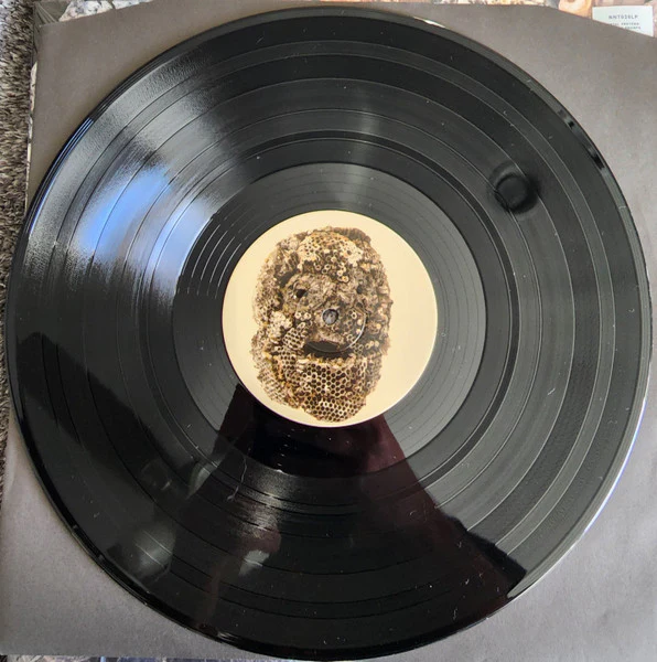 METAL PREYERS, Shadow Swamps (Nyege Nyege Tapes; NNT038LP, UK & Europe 2022, Picture Sleeve) LP VG+/VG+ - Image 2