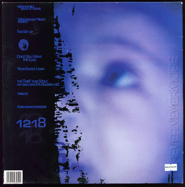 MOODYMANN, Forevernevermore (Peacefrog Records; PF 095, UK 2000, Gatefold) 2xLP VG/VG+ - Image 2