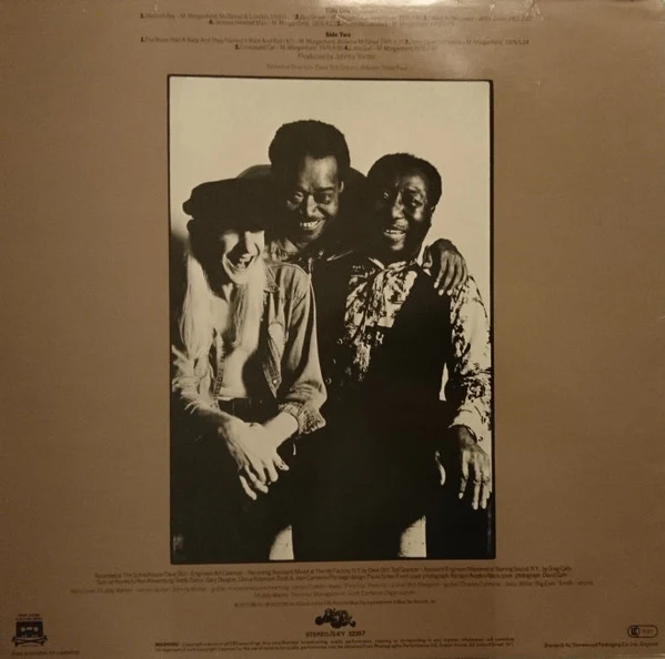MUDDY WATERS, Hard Again (Blue Sky; SKY 81853, UK 1980s Reissue, Inner) LP VG/G+ - Image 2